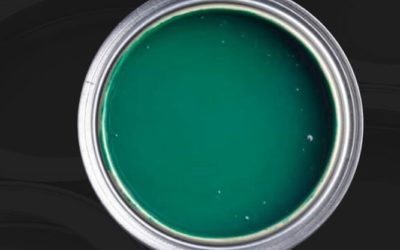 Household Paint Disposal Issues