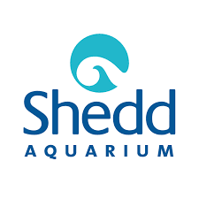 aquarium waste removal