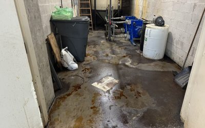 Acid and Oil Spill Cleanup